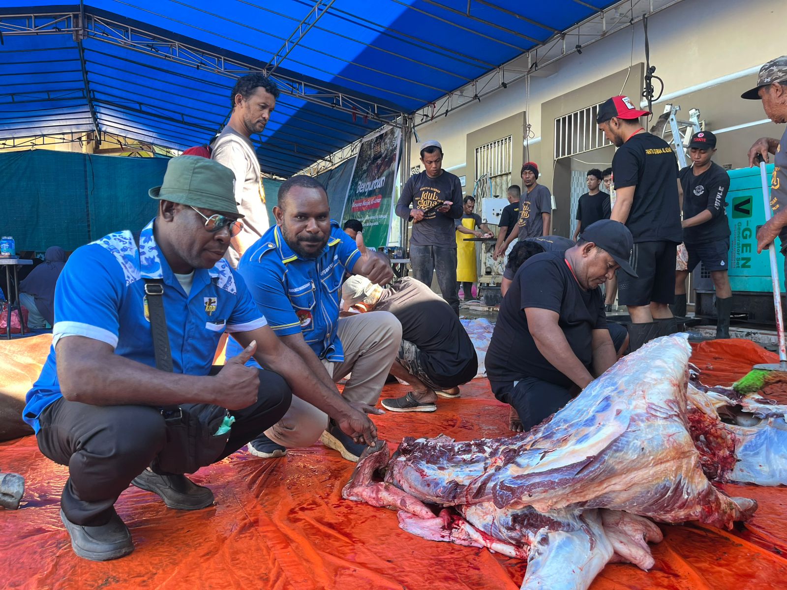 Foto proses pemotongan hewan kurban oleh pengurus DKM, pengurus KNPI dan OKP di Masjid Al Azhar Timika