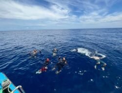 Breaking News: Yosua Tanlain Kelola Kei Island Dive Center, Sukses Gaet Wisatawan Asing