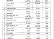 Pemda Mimika Resmi Umumkan Pengangkatan DPRK Melalui Jalur Otusus