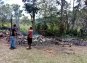 Terjadi Aksi Saling Serang di Wamena Distrik Maima Papua Pegunungan