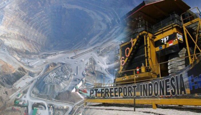 PT Freeport Setor Rp7,73 Triliun untuk Pemerintah Pusat dan Daerah, Kabupaten Mimika Terima Rp1,92 Triliun