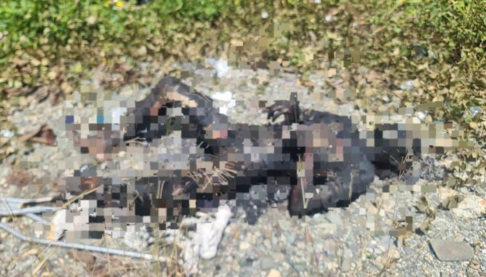 Mayat Gosong Ditemukan di Lahan Kosong Jalan WR Supratman Timika