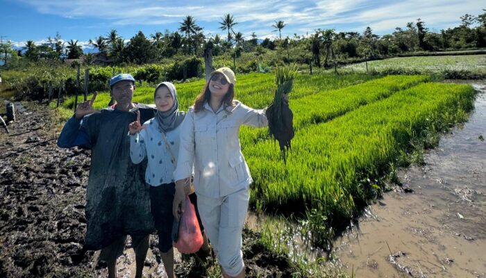 Dessy Putrika Kunjungi Petani SP7, Dorong Swasembada Pangan di Mimika