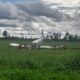 Pesawat Bunga Persada Gagal Landing di Bandara Mozes Kilangin, Pilot dan Co-Pilot Selamat