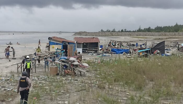 33 Camp Pendulang Ditertibkan di Tanggul Barat PT Freeport, Program Reklamasi dan Penghijauan Dilanjutkan
