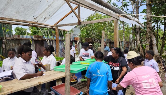 Kunjungi BUMDes, Guru dan Murid SMP Negeri 9 Mimika Belajar Budidaya Sistem Hidroponik Sayur Pokcoy di Kampung Damai
