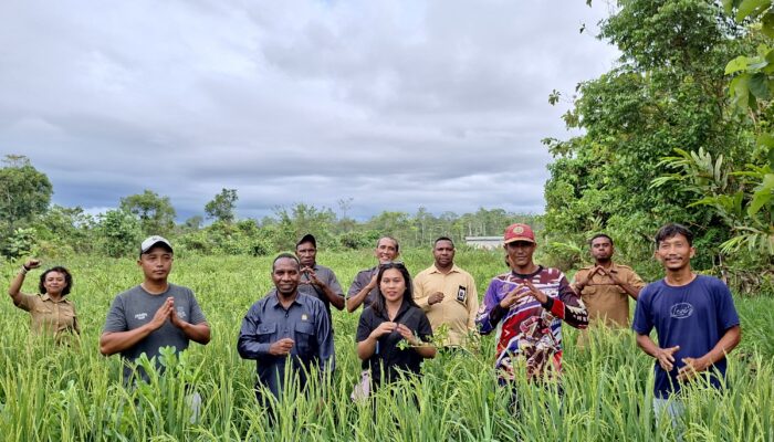Tak Hanya Tambang, Ketua DPRK Sebut Pertanian dan UMKM Punya Potensi Besar