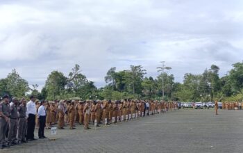 CPNS Mimika 2025: 80 Persen Kuota untuk OAP Amungme dan Kamoro