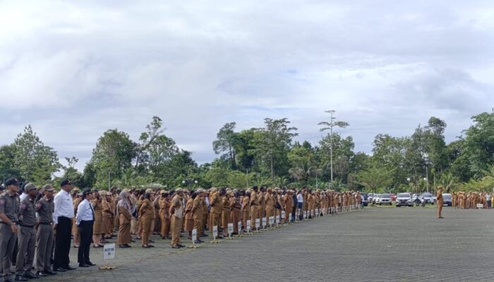 CPNS Mimika 2025: 80 Persen Kuota untuk OAP Amungme dan Kamoro