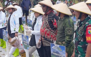 DPD RI Dukung Ketahanan Pangan Lewat Jagung, Yorrys Raweyai Resmikan Program di Mimika