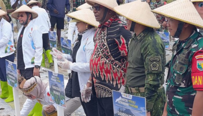 DPD RI Dukung Ketahanan Pangan Lewat Jagung, Yorrys Raweyai Resmikan Program di Mimika