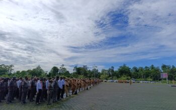 Pemkab Mimika Siapkan Assessment ASN 2025, Perkuat Sistem Merit