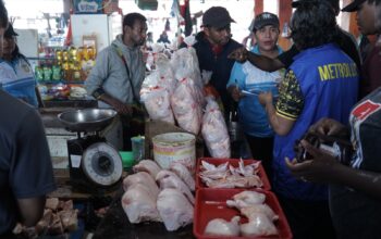 Tingkatkan Pengawasan, Disperindag Mimika Terapkan QR Code pada Ratusan Timbangan Pedagang di Pasar Sentral