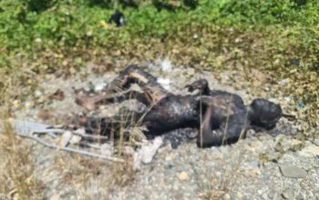 Kasus Pembakaran Mei Lalu Terungkap, Pelaku Datangi Polres Mimika