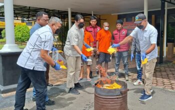 Polres Mimika “Lumpuhkan” Puluhan Sabu dan Ganja, Dua Tersangka Terancam 20 Tahun Bui!