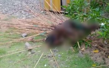 Kwamki Narama Membara! Seorang Pria Tewas Dihujani Puluhan Anak Panah, Kondisi Jenazah Mengenaskan