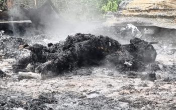 Teror Bersenjata di Nabire: Pos PT Kristalin Diberondong, Mobil Perusahaan Wasundara Jadi Sasaran