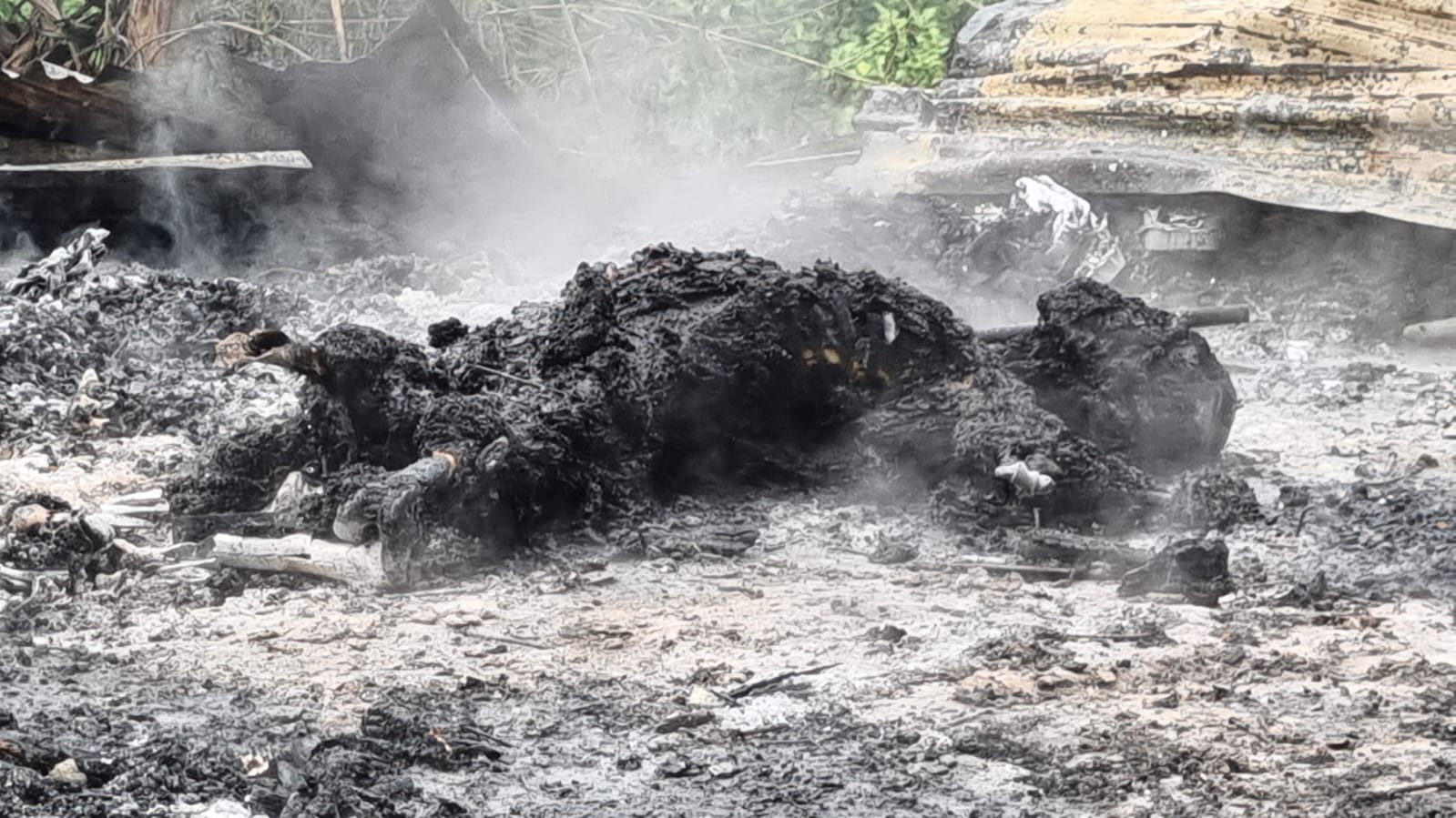 Teror Bersenjata di Nabire: Pos PT Kristalin Diberondong, Mobil Perusahaan Wasundara Jadi Sasaran