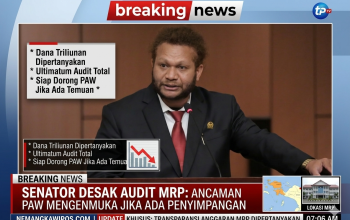 Senator Papua Barat Daya Desak Audit MRP, Ancam PAW Jika Ada Penyalahgunaan