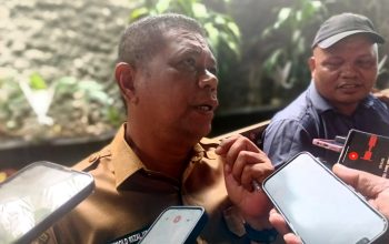 Strategi Jemput Bola Dinkes Mimika: Menembus Batas Geografis Amapare demi Ibu Hamil