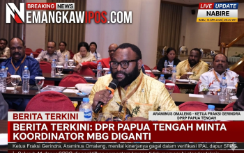 DPR Nilai Kinerja Koordinator Regional MBG Papua Tengah Gagal, Diminta Diganti