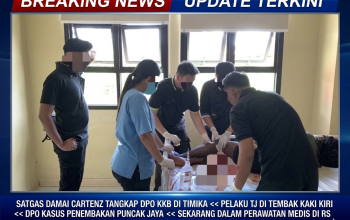 Satgas Damai Cartenz Tangkap DPO KKB di Timika, Pelaku Penembakan Warga Sipil