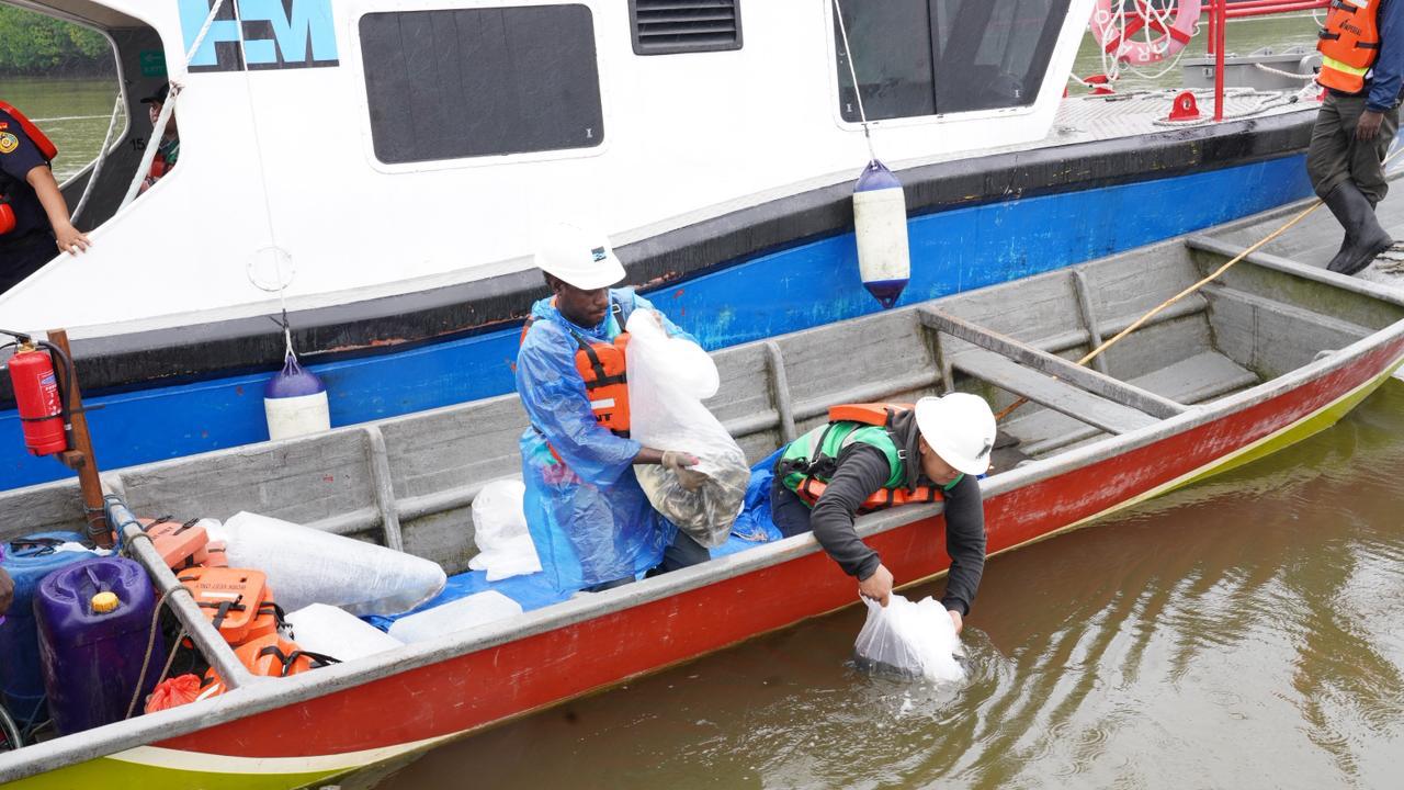 Freeport Lepas 10.000 Bibit Baramundi dan 1.000 Kepiting Bakau di Pesisir Mimika