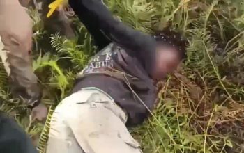 Anggota Kelompok HSSBI Ditangkap di Dekai, Polisi Sita Amunisi dan Sejumlah Barang Bukti