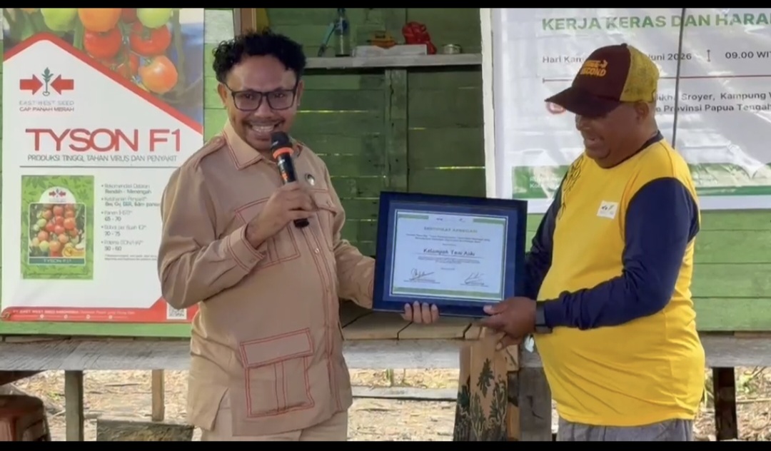 Korwil BGN Nabire Blusukan ke Petani Tomat, Serap Aspirasi dan Pastikan Kesiapan Pasok Program MBG
