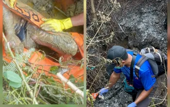 Kapolda Papua Tengah Atensi Khusus Pembunuhan Tukang Ojek di Mimika, Timsus Gabungan Diterjunkan Buru Pelaku