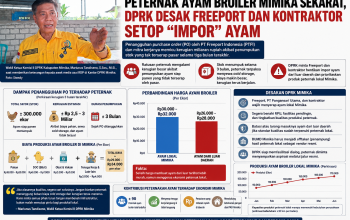 Peternak Ayam Broiler Mimika Sekarat, DPRK Desak Freeport dan Kontraktor Setop “Impor” Ayam