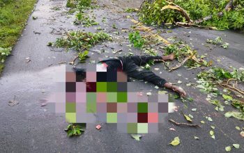 Tragis! Pengendara Motor Tewas Terlindas di Jalan Poros SP V-XIII, Pelaku Tabrak Lari Diburu Polisi