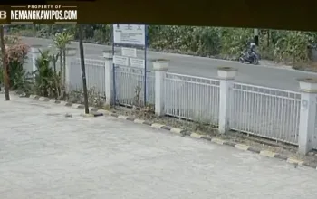 Viral! Video Pria Diduga Bakar Semak Kering di Bukit Meriam Nabire Bikin Warga Waswas