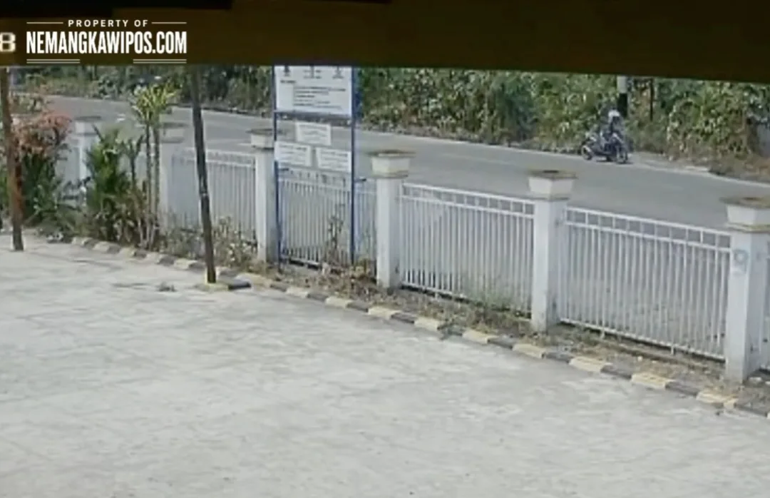 Viral! Video Pria Diduga Bakar Semak Kering di Bukit Meriam Nabire Bikin Warga Waswas