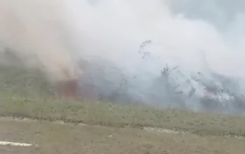 Kebakaran Hutan Dekat Bandara Arowanop Meluas ke Gunung Watutopabera, Warga Padamkan Api dengan Alat Seadanya