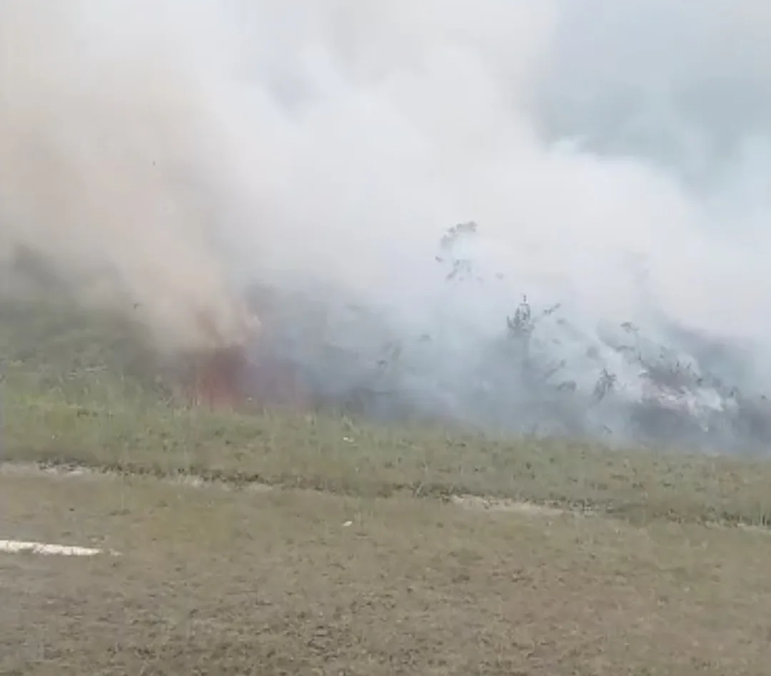 Kebakaran Hutan Dekat Bandara Arowanop Meluas ke Gunung Watutopabera, Warga Padamkan Api dengan Alat Seadanya